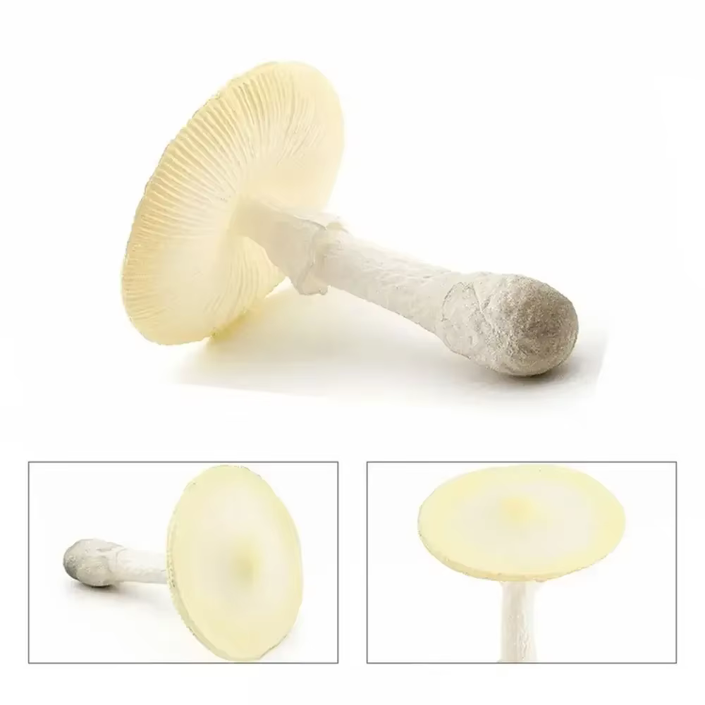 Figurines de champignons modèle végétal Matsutake Oyste Simulation artificielle champignon Pleurotus