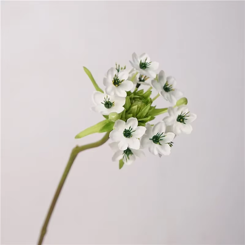 Fleur artificielle en soie orchidée, 10 pièces/lot, pour la décoration de la maison, accessoires, Bo