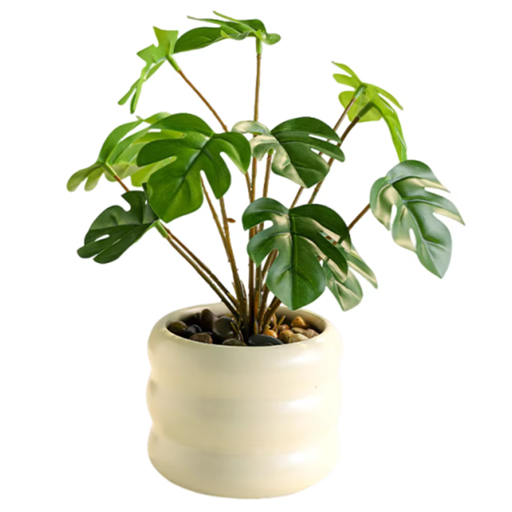 Plantes artificielles réalistes bonsaï élégant Simulation de la vie éternelle plante verte bonsaï av
