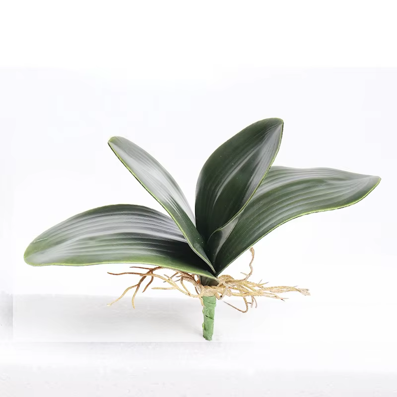 Simulation artificielle de feuilles d'orchidées de papillon, 1 pièce, feuilles d'orchidée au toucher