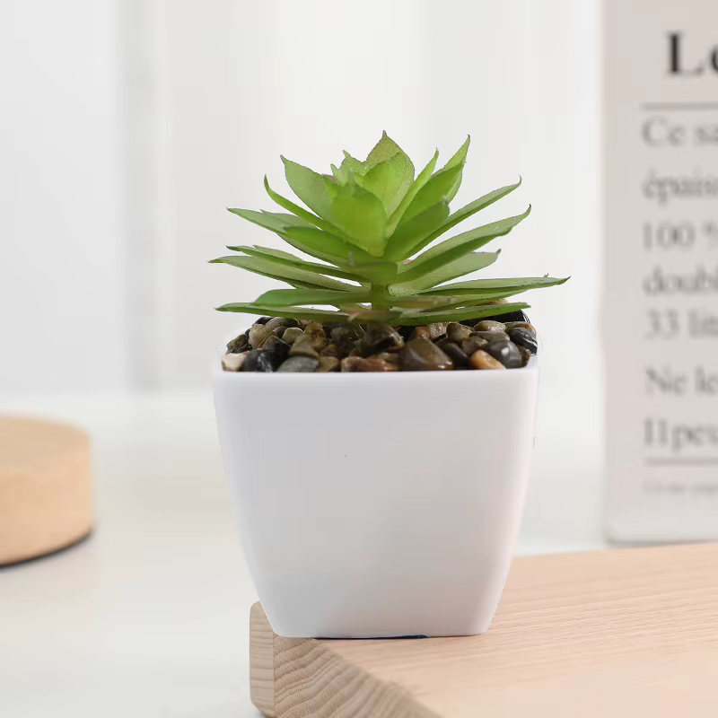 Mini Simulation succulente plante verte en pot décoration plante artificielle succulente bonsaï en p