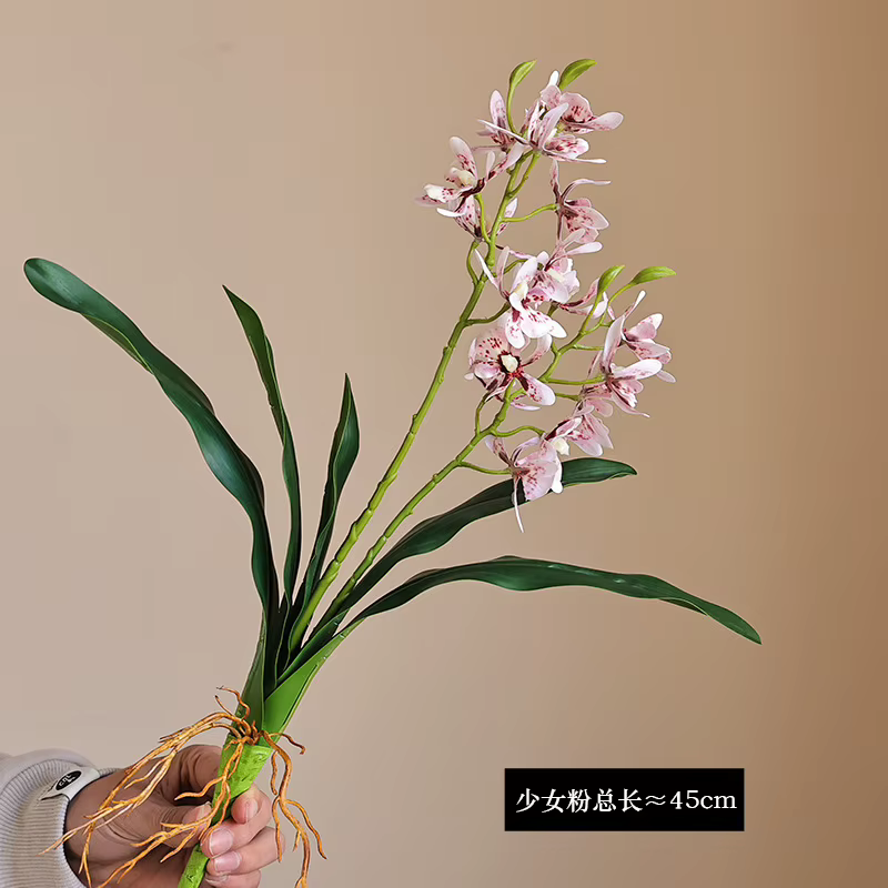 Orchidée papillon au toucher de la main avec feuilles, 2 fourcommuniste, fausses fleurs, cymbidium, 