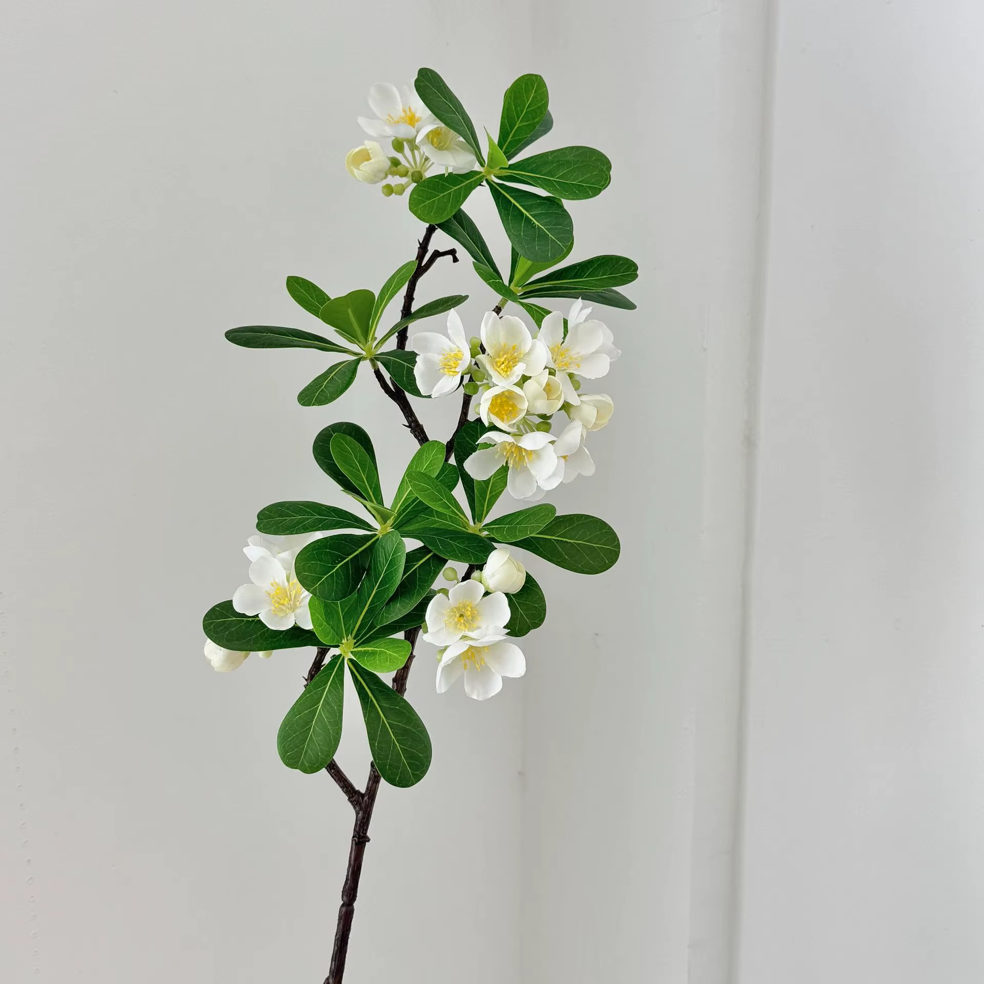 Feuille de Pittosporum artificielle de 33 pouces, fausse plante verte pour décoration de maison, Arr