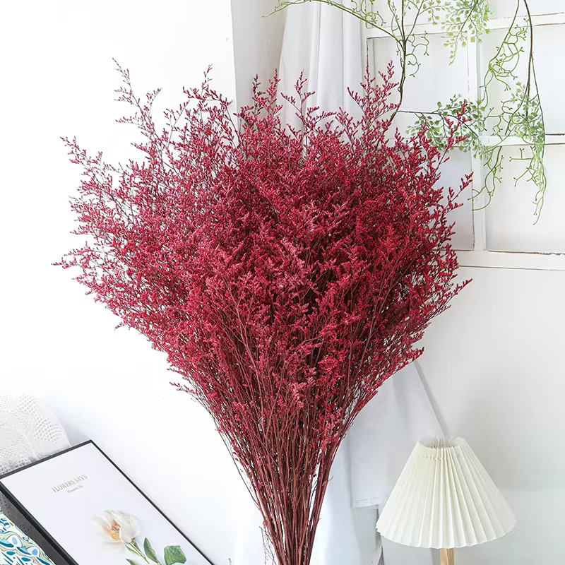 Bouquet de limonium naturel conservé, véritable lavande de mer fraîche pour la décoration de mariage