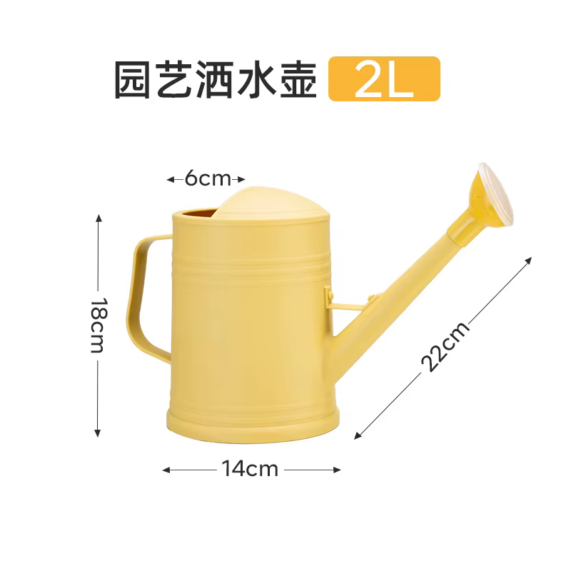 Arrosoir à longue bouche de 2l, outils de jardinage pratiques pour fleurs, arroseur pour plantes