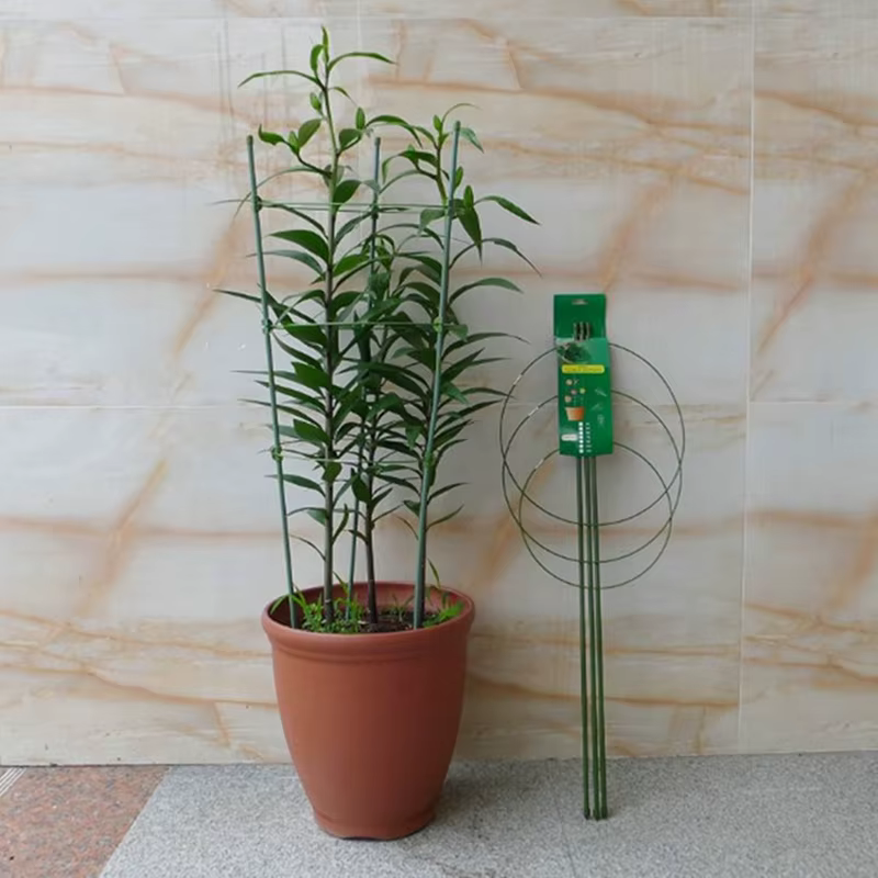 Support de vigne grimpante de 45cm, cadre de Support en pot pour plantes, en acier revêtu de plastiq