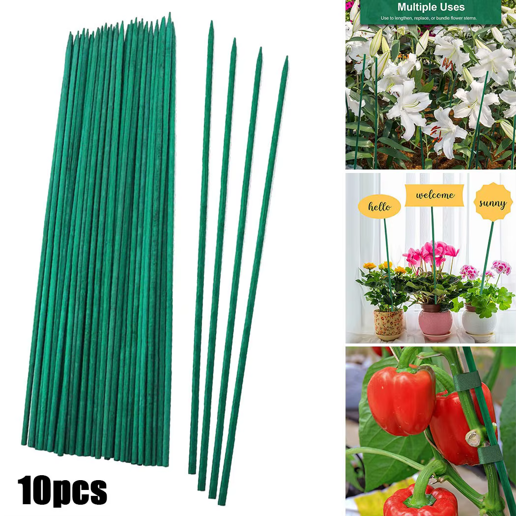 Bâtons de support pour plantes vertes, cannes, fleurs, piquet de plante de jardin, décorations de va
