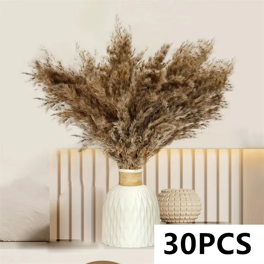 Bouquet d'herbe de la pampa séchée naturelle pour décoration bohème, Phragmites, fleurs de mariée DI