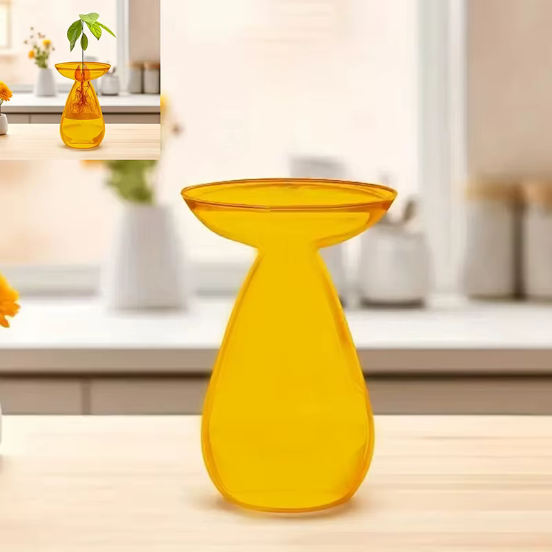 Vase hydroponique Transparent coloré d'avocat, Vase de démarrage de graines d'avocat en verre, Kit d