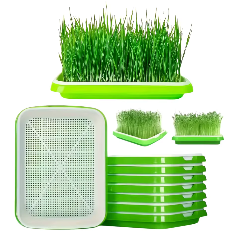 Kit de germination rapide 4 pièces (2 ensembles) avec plateaux de germination sans eau et trous de d