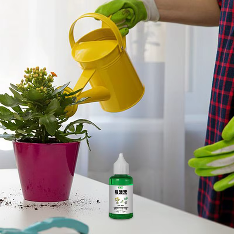 Solution universelle pour plantes, solution nutritive, nettoyeur d'orchidées et de gardénia, liquide