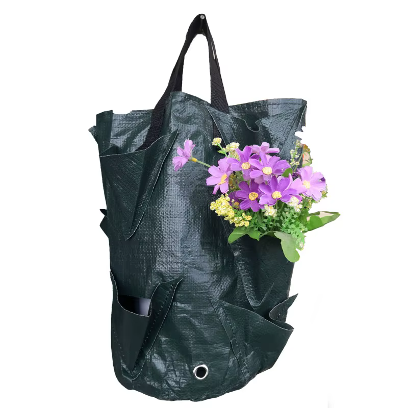 Sac de culture de plantes fraises 3 gallons, conteneur de tomates en plein air, sacs multi-bouche su