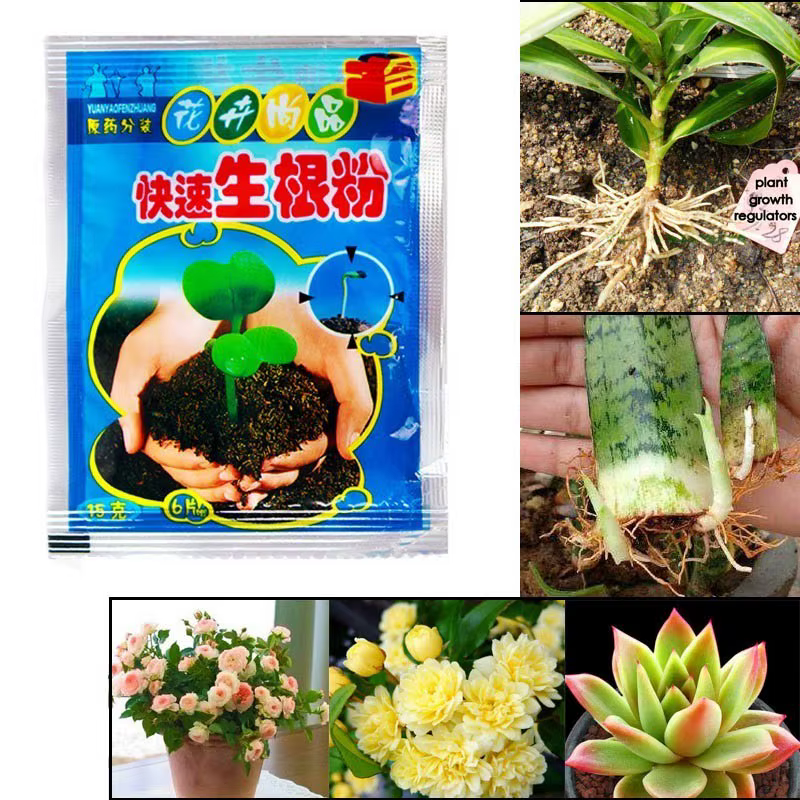 Poudre d'enracinement, 10 pièces, supplément de racines de plantes sûr et efficace pour la Culture h