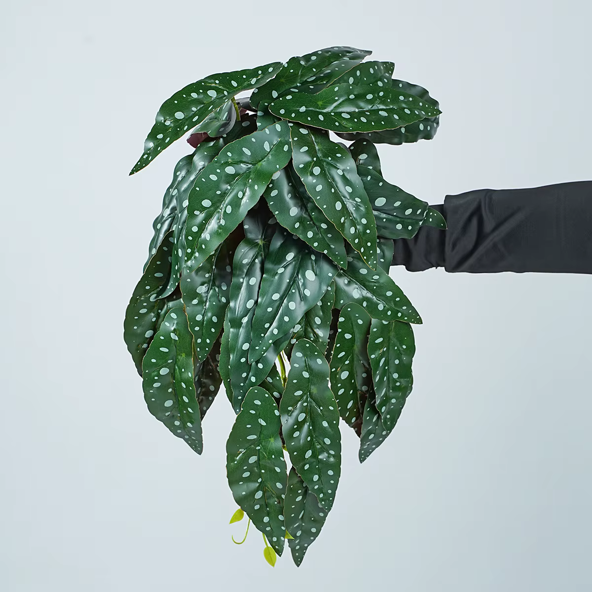 Feuille de Caladium Monstera artificielle de 20 pouces, plante verte suspendue au mur, décoration mu