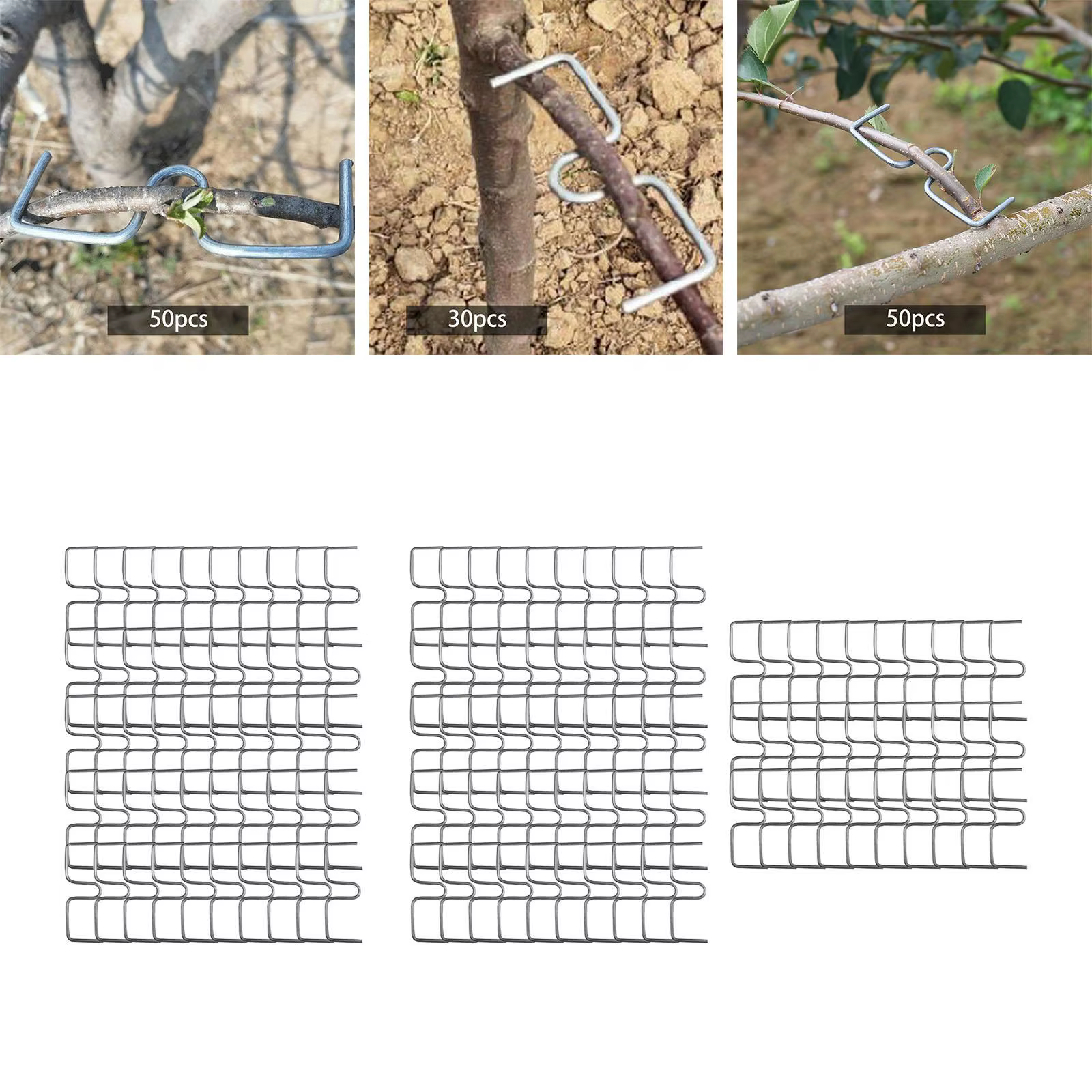 Extracteur de branches d'arbre fruitier, 50 pièces, attache de branches pour plantes en pot, forte p