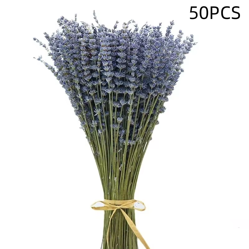 Feuilles d'eucalyptus séchées et conservées, 20 pièces, lavande pour douche suspendue, tiges de feui