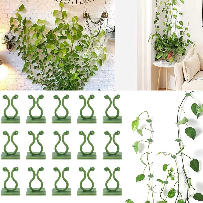 Clips de fixation murale pour plantes grimpantes, 10/30/50 pièces, fixateur de vigne en rotin, croch
