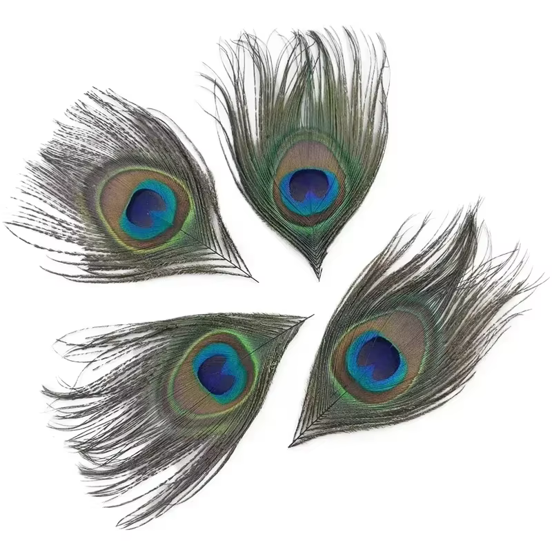 Plumes de paon naturelles pour la création de bijoux, la décoration, l'artisanat, les accessoires de