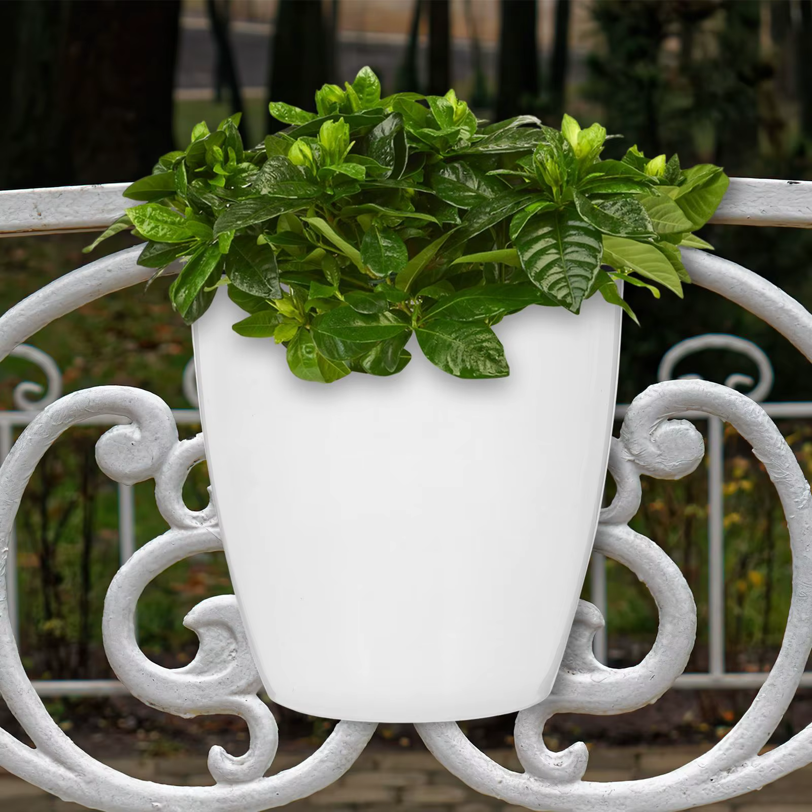 Pot de fleur mural suspendu, 7 pièces, jardinières auto-arrosage, récipient rond pour plantes de jar