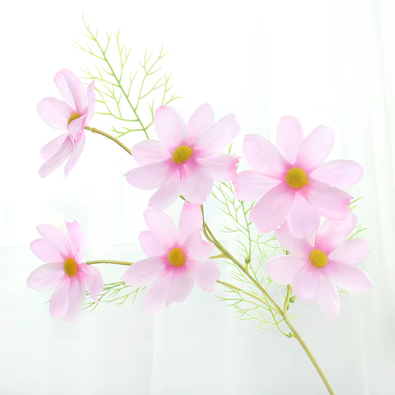 Fleur Cosmos Gesang Tournesols, Daisy Chrysanthème, Arrangement De Fleurs De Mariage, Décoration Int