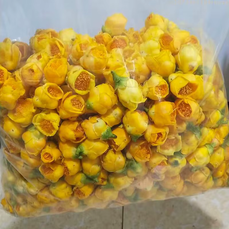 Fleur de camélia séchée de qualité supérieure 50g/100g/200g, fleur de camélia dorée naturelle pour l