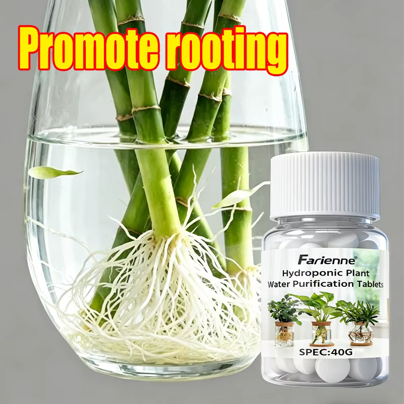 Comprimés de purification d'eau pour plantes hydroponiques, activateur de racines pour bambou porte-