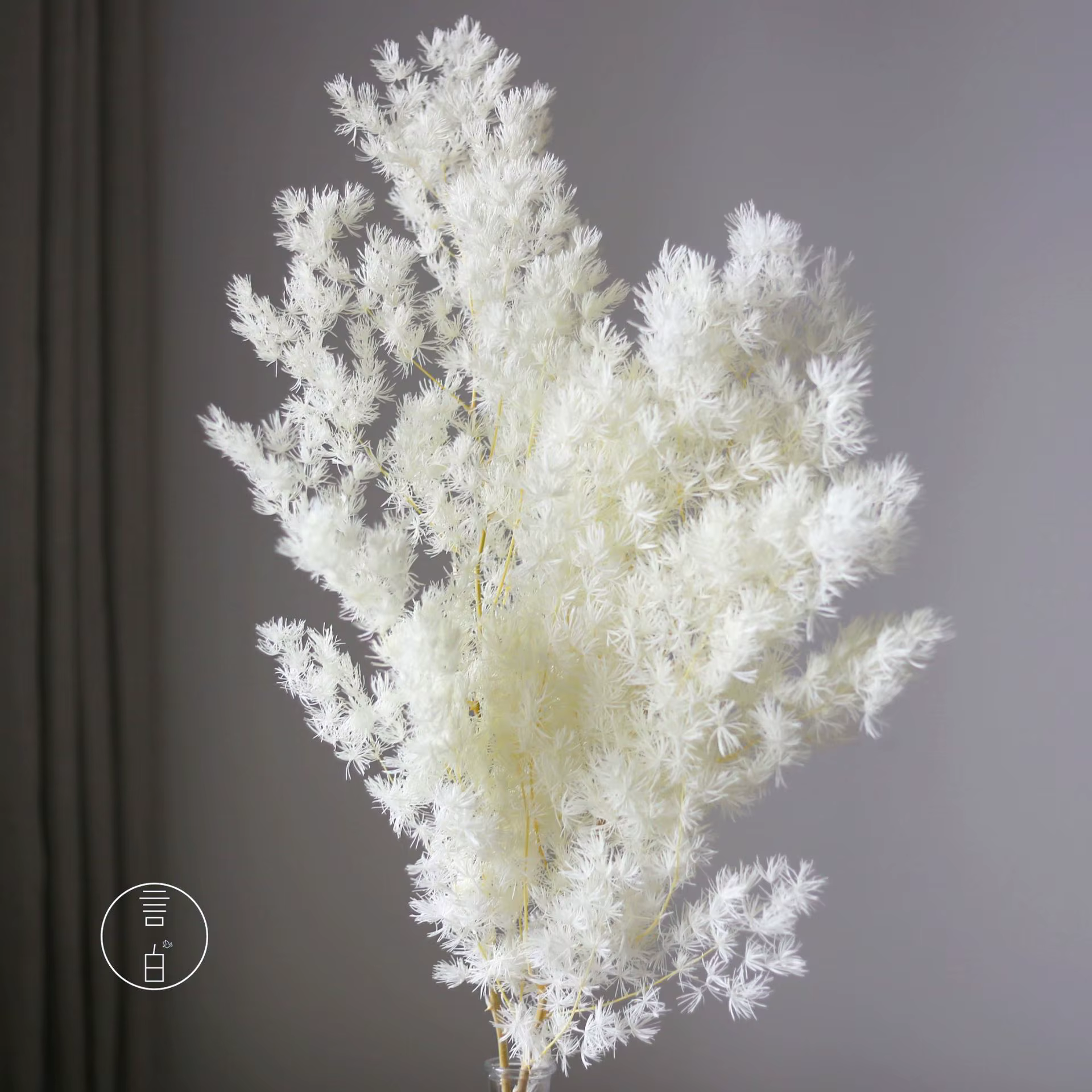 2 pièces de fleurs décoratives naturelles Myriocladus Penglai Song, colorées et stabilisées, pour la