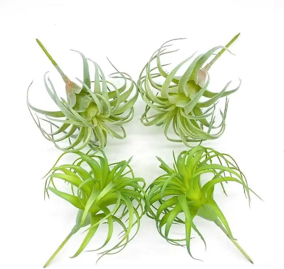 Paquet de 4 plantes artificielles à Air Faux herbe Tillandsia Bromeliads pour la décoration intérieu