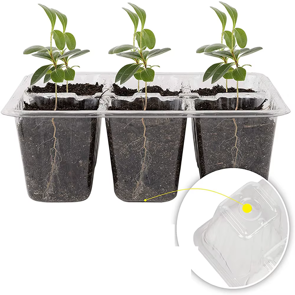 Pots de plantes en plastique avec trou de 6/12 cellules, boîte de culture, pots de semis de plantes,