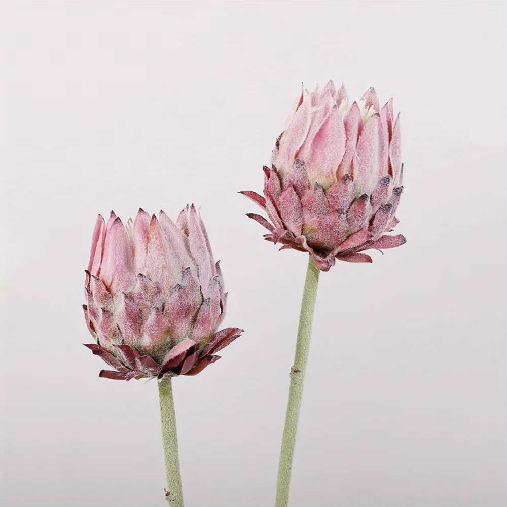 2 pièces de fleurs artificielles en chardon nordique, fleurs d'empereur, fleurs pour mariage et fian