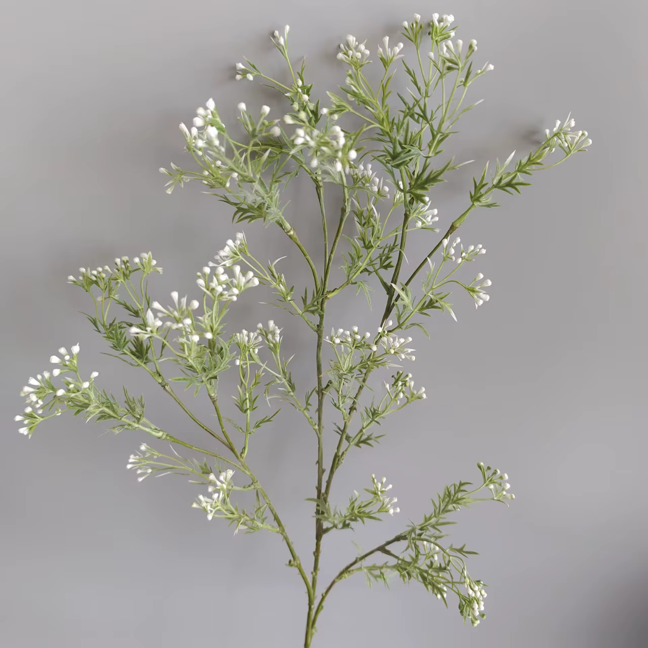 Fleurs artificielles en céleri et gypsophile, 5 pièces/lot, 5 fourcommuniste, pour décoration de mar