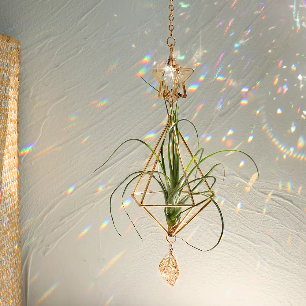Attrape-soleil de jardin suspendu en or, support pour plantes à Air Tillandsia, présentoir de fougèr