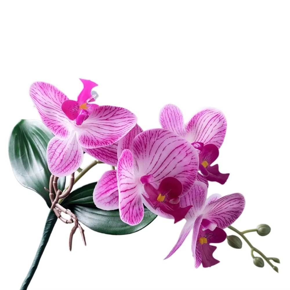 Orchidées Phalaenopsis artificielles réalistes en tissu, avec feuilles, fausses orchidées papillon p