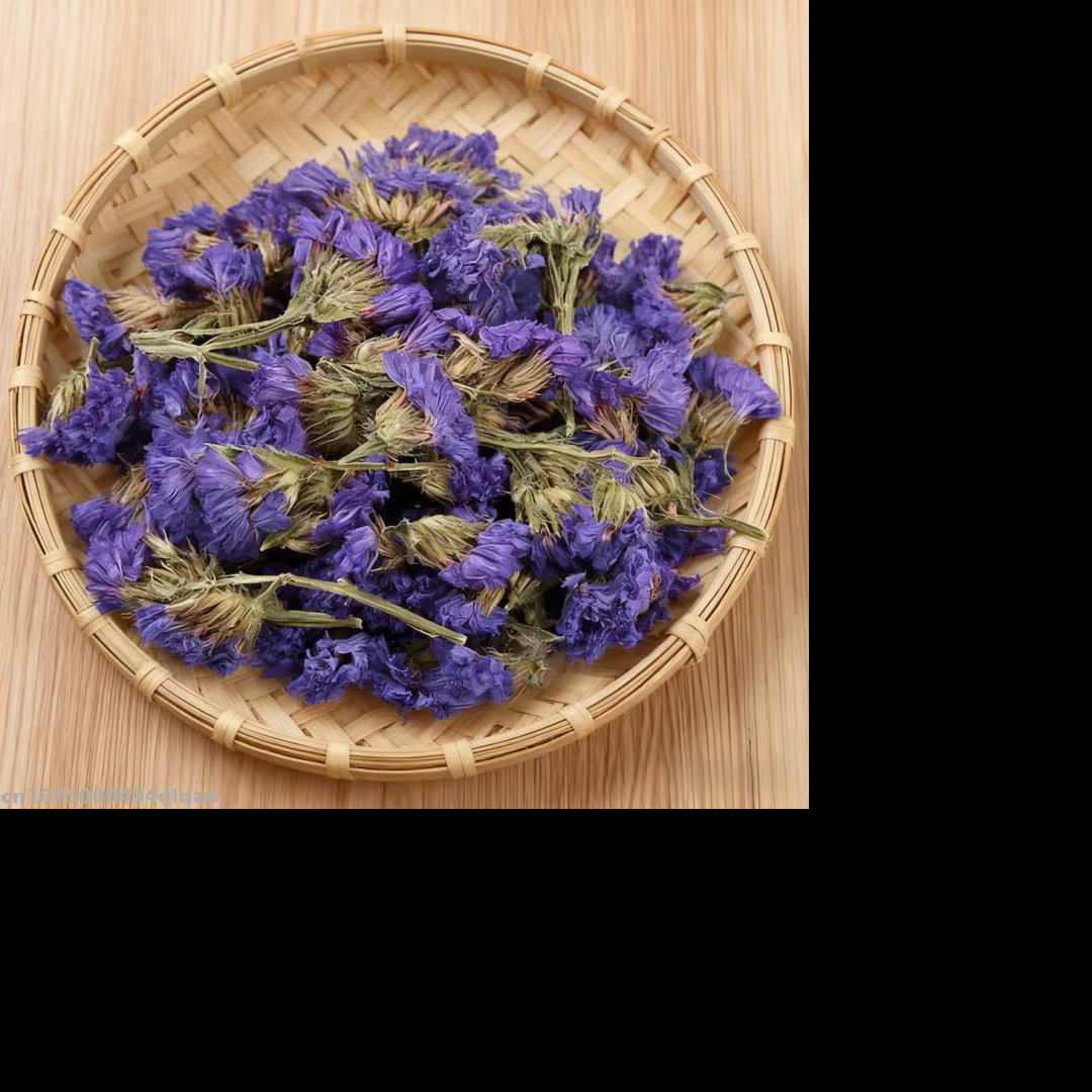 Miosotis bleu naturel en vrac, fleurs séchées naturelles, ne meubli pas, décoration de mariage à dom