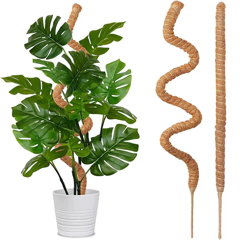 Support de grimpement pliable pour plantes, en fibre de coco, déformable, avec base de fixation, typ