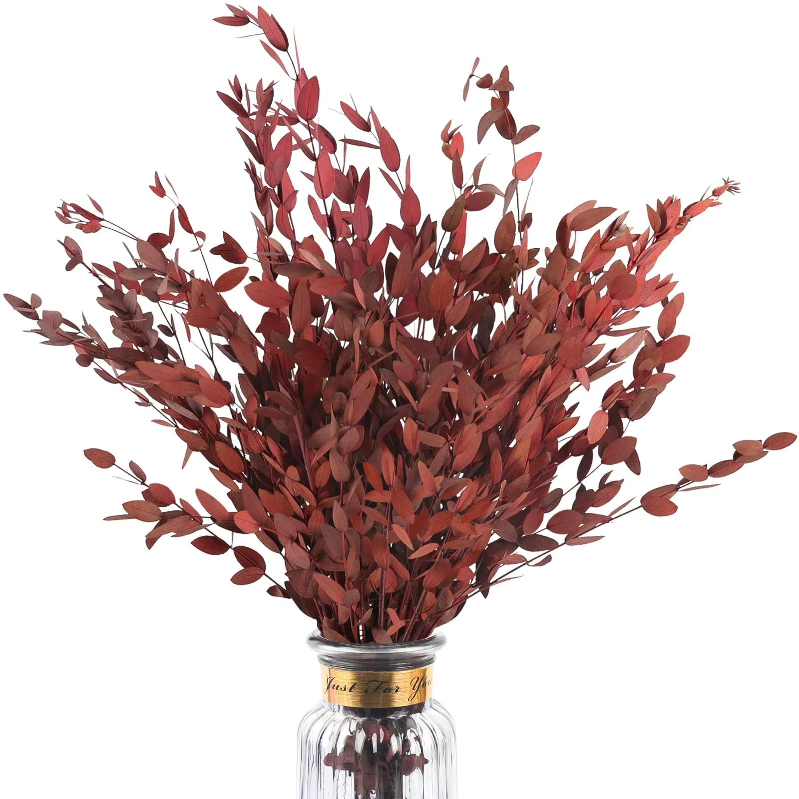 Bouquet de feuilles d'eucalyptus rouge véritable, 80g, tiges de plantes séchées conservées, paquet d