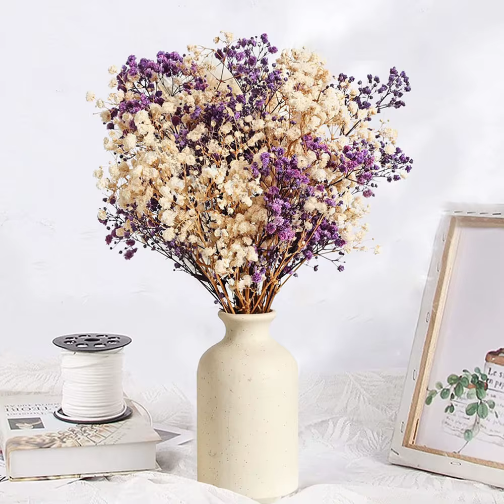 Bouquet de fleurs séchées naturelles Gypsophila (Souffle de bébé) 120g, toucher réel, cadeau Fête de