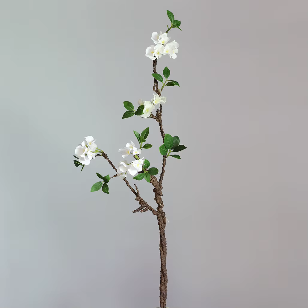 Nouvelle brindille d'arbre flétri, fleur de prunier blanche, branche de fleur avec fausses feuilles,