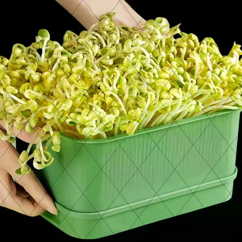 Pots de culture de légumes en plastique, plateau de germination de semis sans sol pour la culture du
