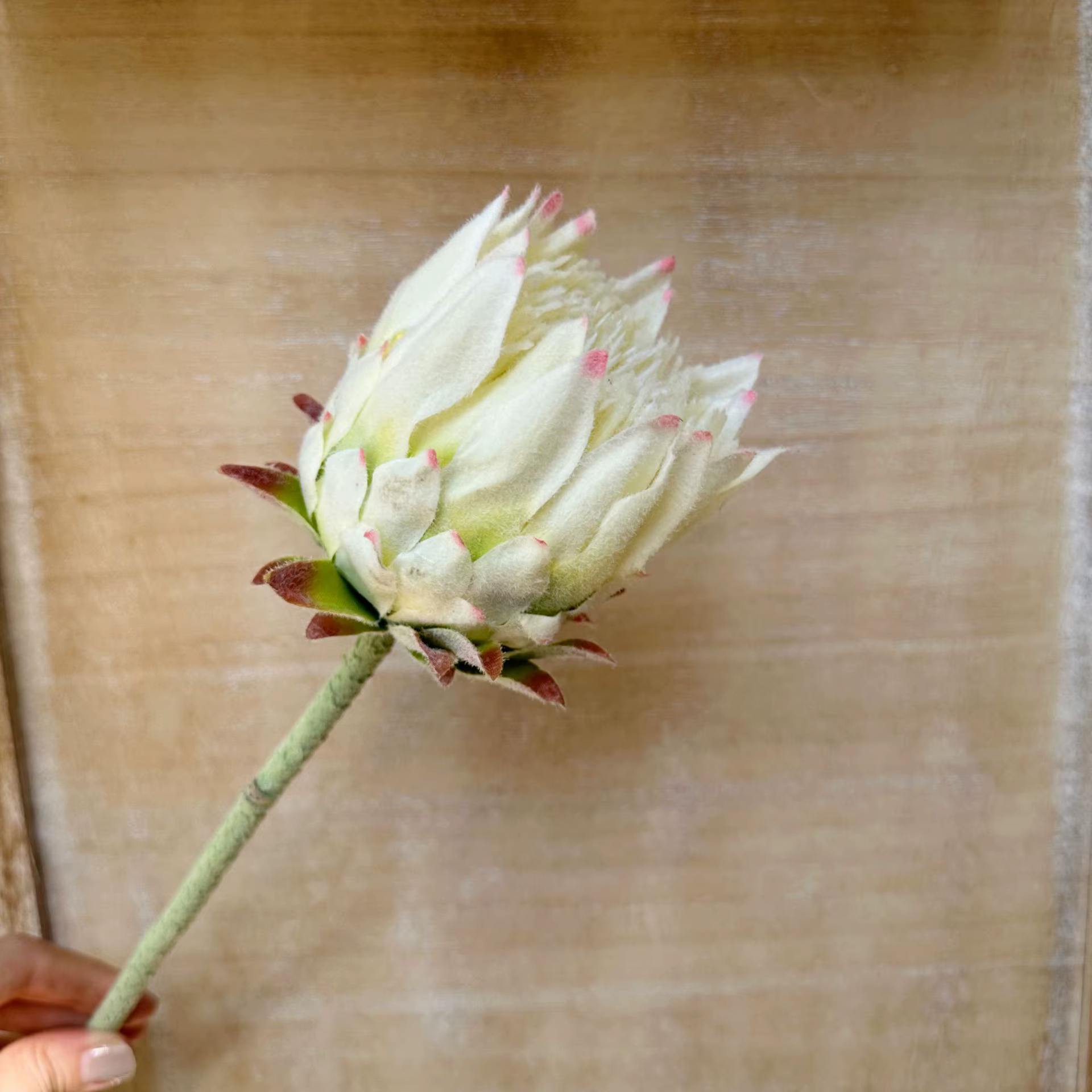 Fleurs artificielles King Protea réalistes, fausses fleurs floquées de Style scandinave pour décorat