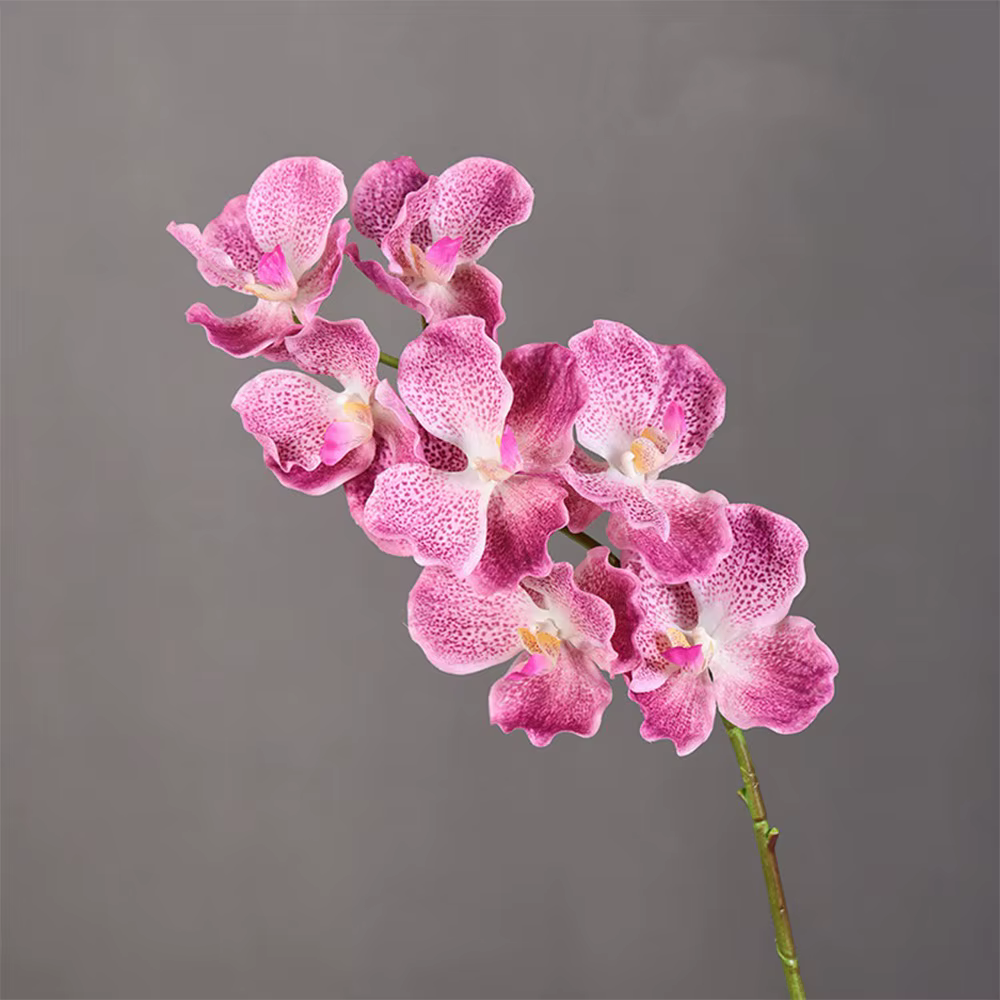 Orchidée Vanda Artificielle de 80 CM, Branche de Phalaenopsis en Plastique Hydratante, Grande Fleur 