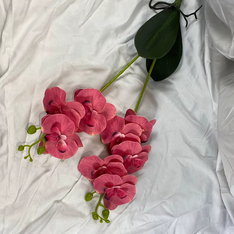 Orchidée papillon avec feuille, 2 branches/paquet, fleur artificielle, fausse fleur au toucher réel,