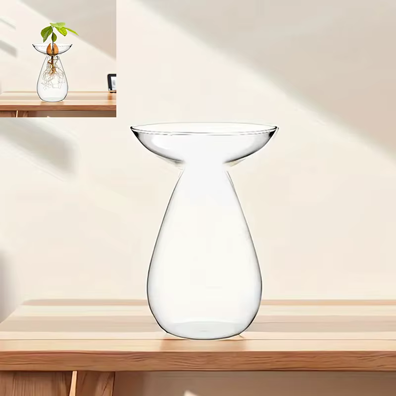 Vase hydroponique Transparent coloré d'avocat, Vase de démarrage de graines d'avocat en verre, Kit d