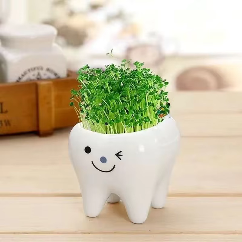 Mini pot de fleurs en céramique en forme de dent, plante en pot mignonne, bureau en pot, plante créa