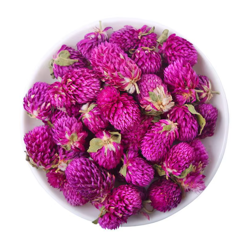 Fleurs séchées de Gomphrena naturelles de haute qualité, bourgeons rouges et violets Qianrihong pour