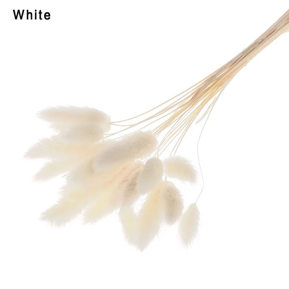 Queue de lapin naturelle moelleuse pour la décoration de la maison, Boho, Fleurs séchées, Bouquets d