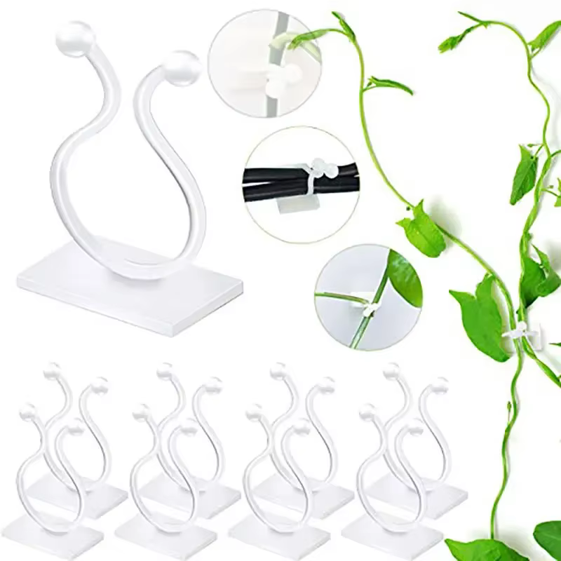 Plante grimpante auto-adhésive mur vignes outils fixation plante fixation murale Clips boucle fixe c