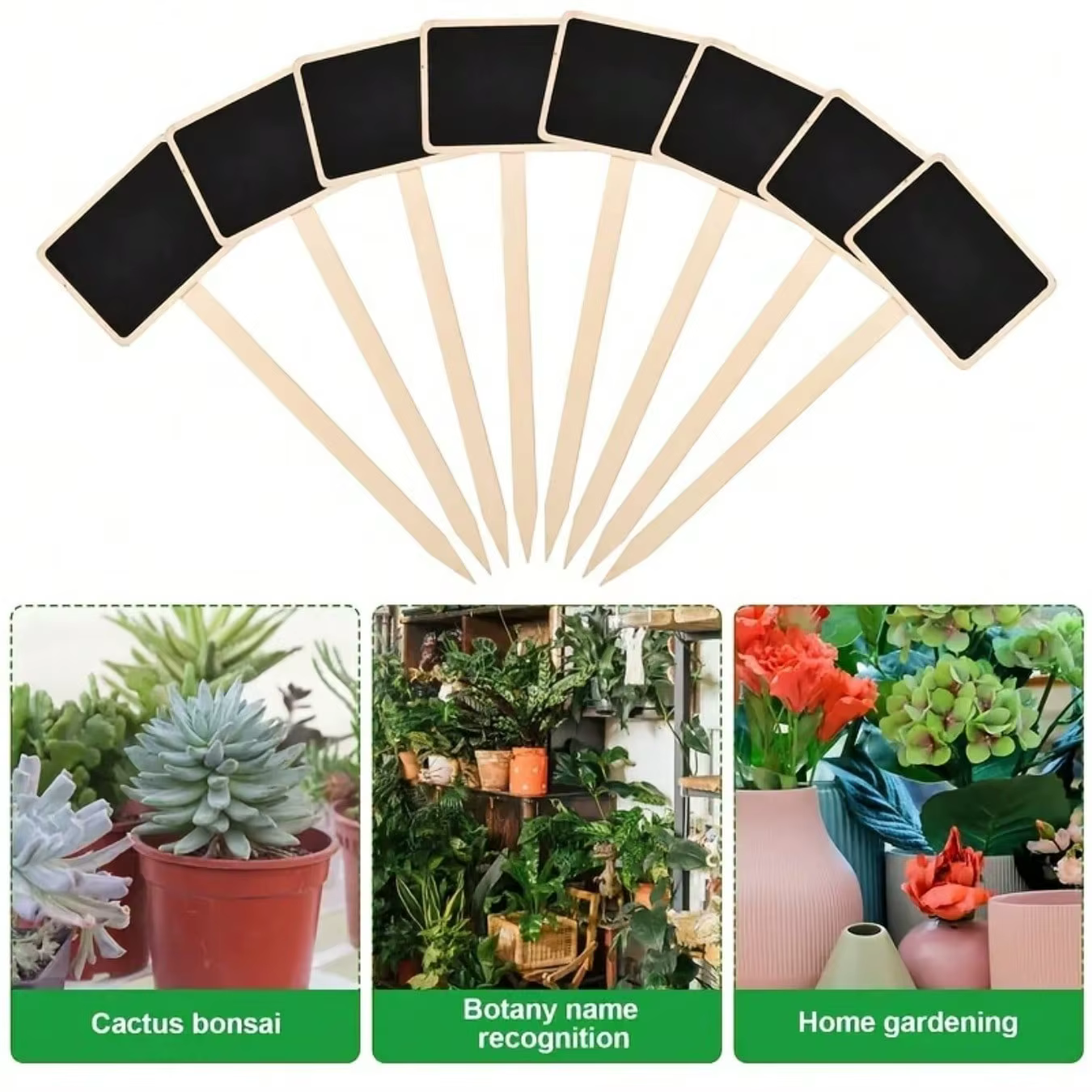 Ensemble de 10 étiquettes de plantes rustiques en bois, équipées de panneaux de jardin en forme de T