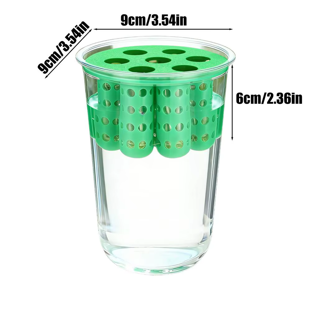 Pot de culture pour la reproduction des oignons verts, pot de culture transparent pour oignons verts