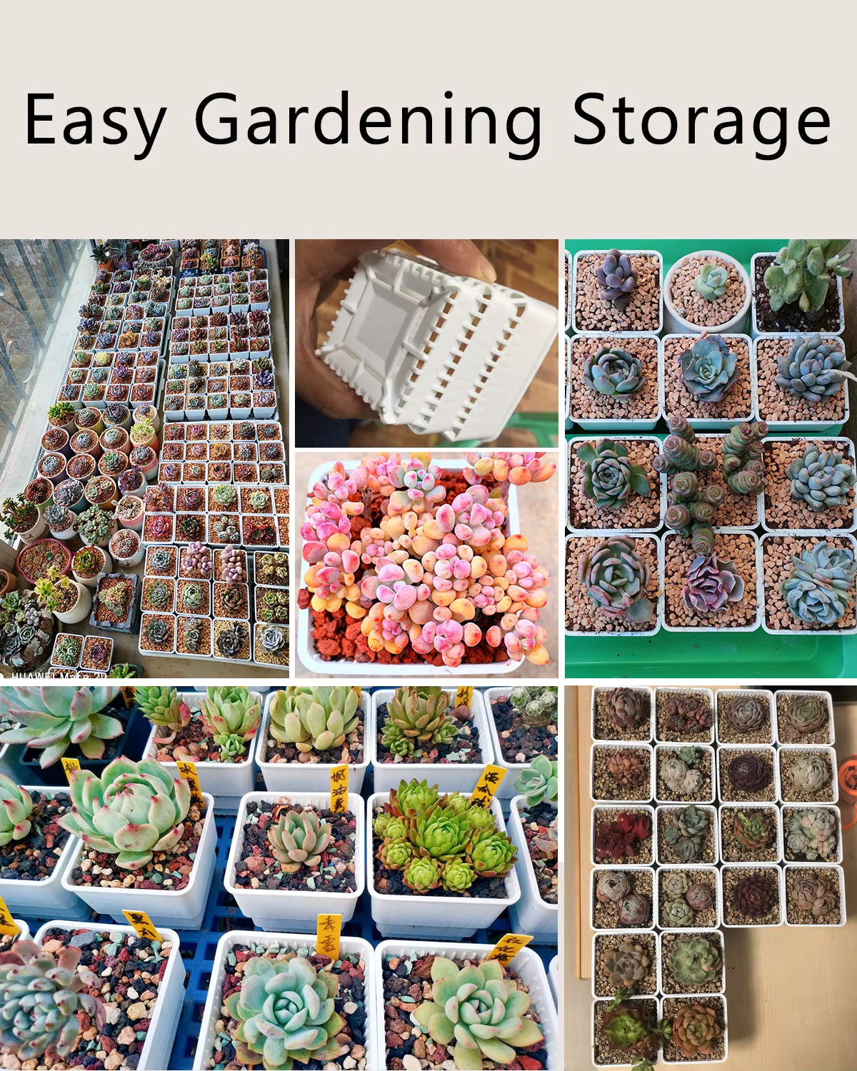 Pot Succulent en maille avec trous, Pot à Lithop pour Cactus, contrôle des racines, jardinière succu